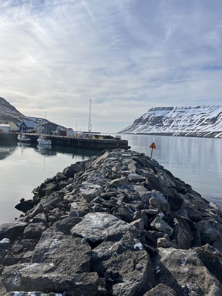 Frá Suðureyri.